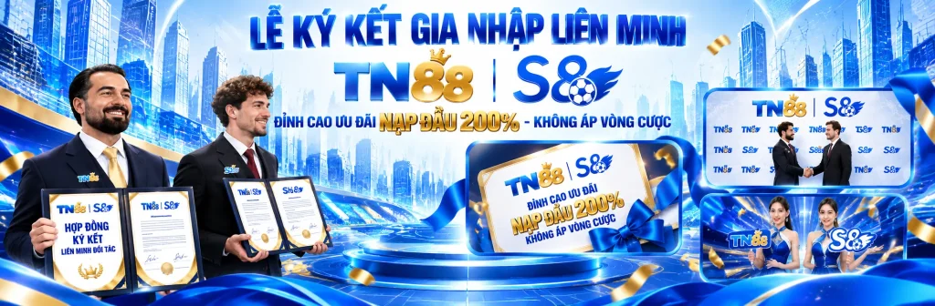 TN88 11zon