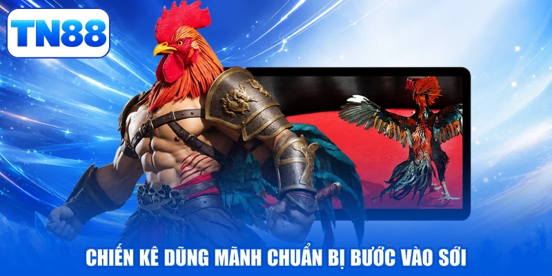 Mẹo Đá Gà - Bí Kíp Đặt Cửa Chiến Kê Bách Chiến, Bách Thắng 4 Chiến kê dũng mãnh chuẩn bị bước vào sới
