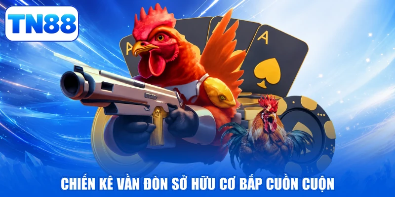 Mẹo Đá Gà - Bí Kíp Đặt Cửa Chiến Kê Bách Chiến, Bách Thắng 3 Chiến kê vần đòn sở hữu cơ bắp cuồn cuộn