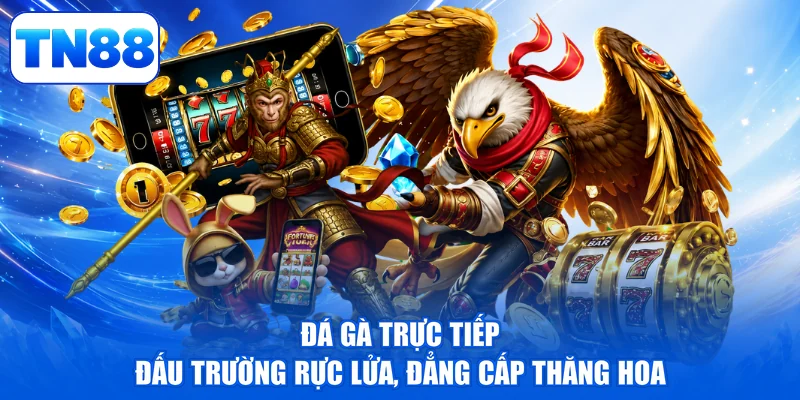 Đá Gà Trực Tiếp - Đấu Trường Rực Lửa, Đẳng Cấp Thăng Hoa 1 Đá Gà Trực Tiếp - Đấu Trường Rực Lửa, Đẳng Cấp Thăng Hoa