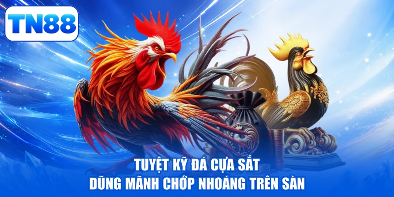 Tuyệt kỹ đá cựa sắt dũng mãnh chớp nhoáng trên sàn